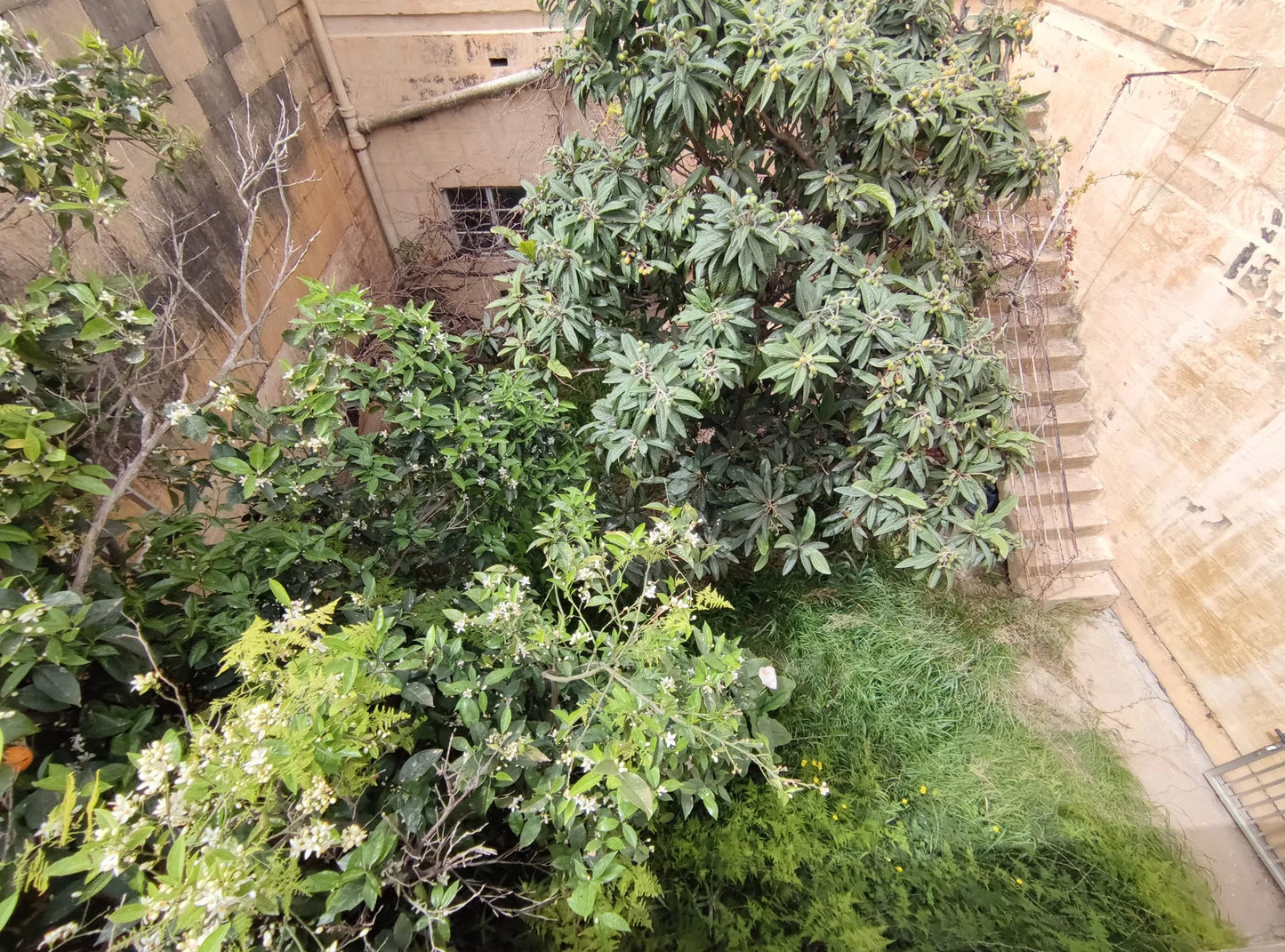 Gozo - Xagħra Terraced House