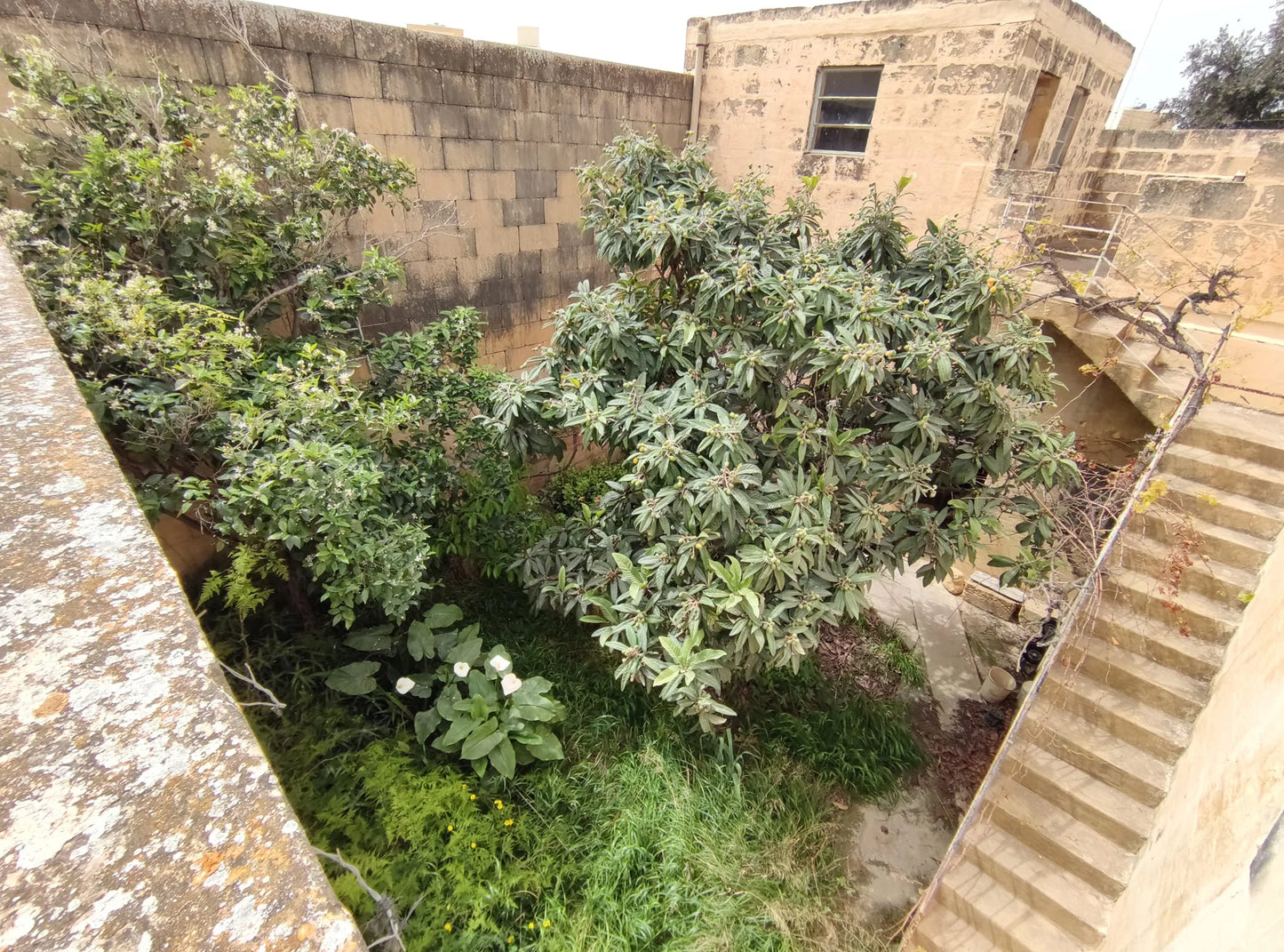 Gozo - Xagħra Terraced House