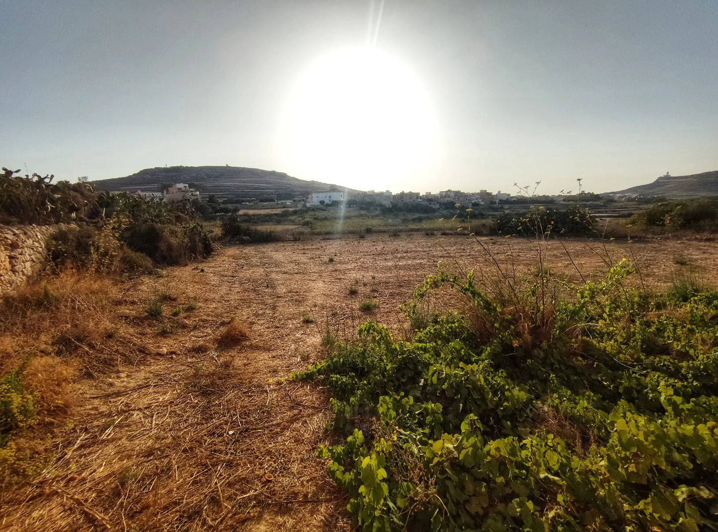 Gozo - Ghasri Plots / Terraced Houses