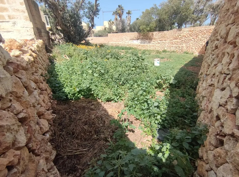 Gozo-Xagħra Farmhouse