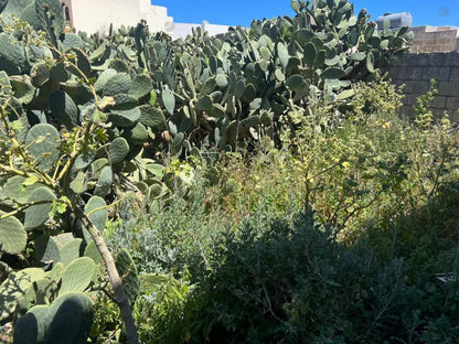 Farmhouse in Gozo Iż-Żebbuġ